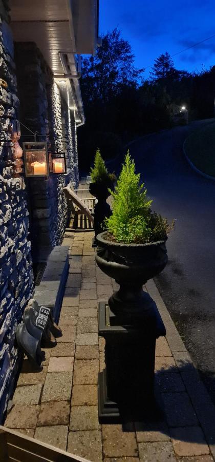 Kenmare Driftwood Bed & Breakfast Exterior foto